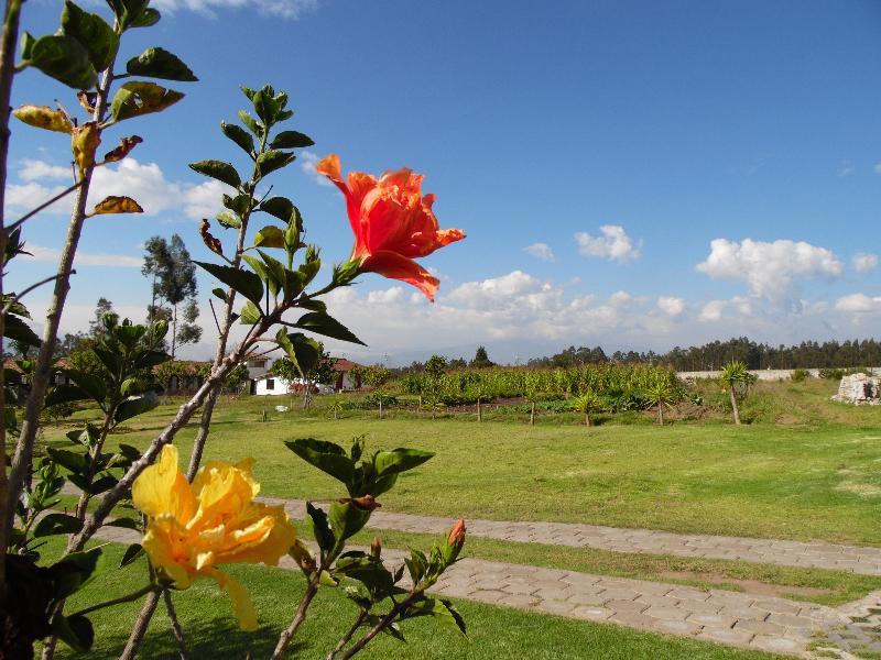 Posada Mirolindo Quito Bagian luar foto